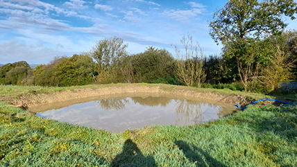 The Relaxed Sanctuary at Cadbury Cottage
