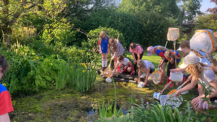 The Relaxed Sanctuary at Cadbury Cottage