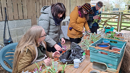 The Relaxed Sanctuary at Cadbury Cottage