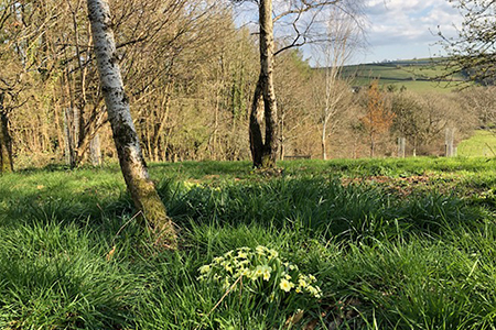 Relaxed at home ... letting nature lead